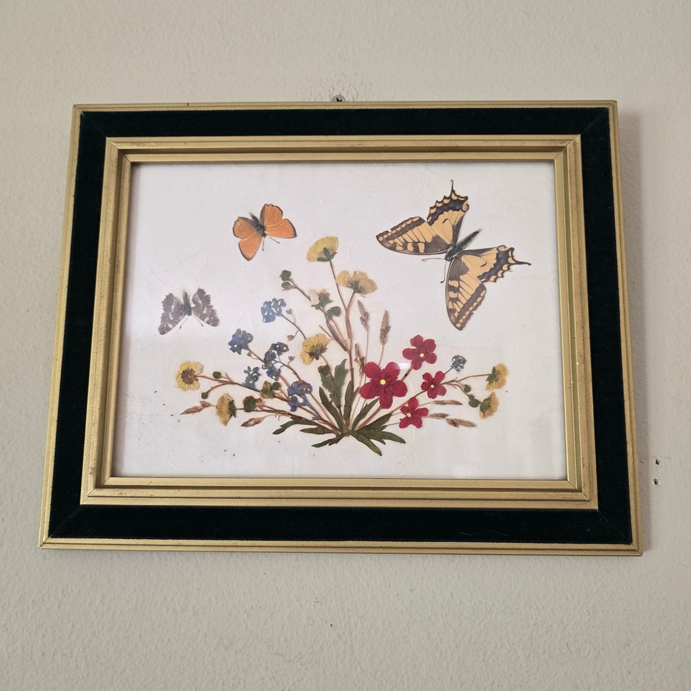 Vintage Framed Pressed Flower Butterfly Art Gold Black Velvet Border Wall Decor